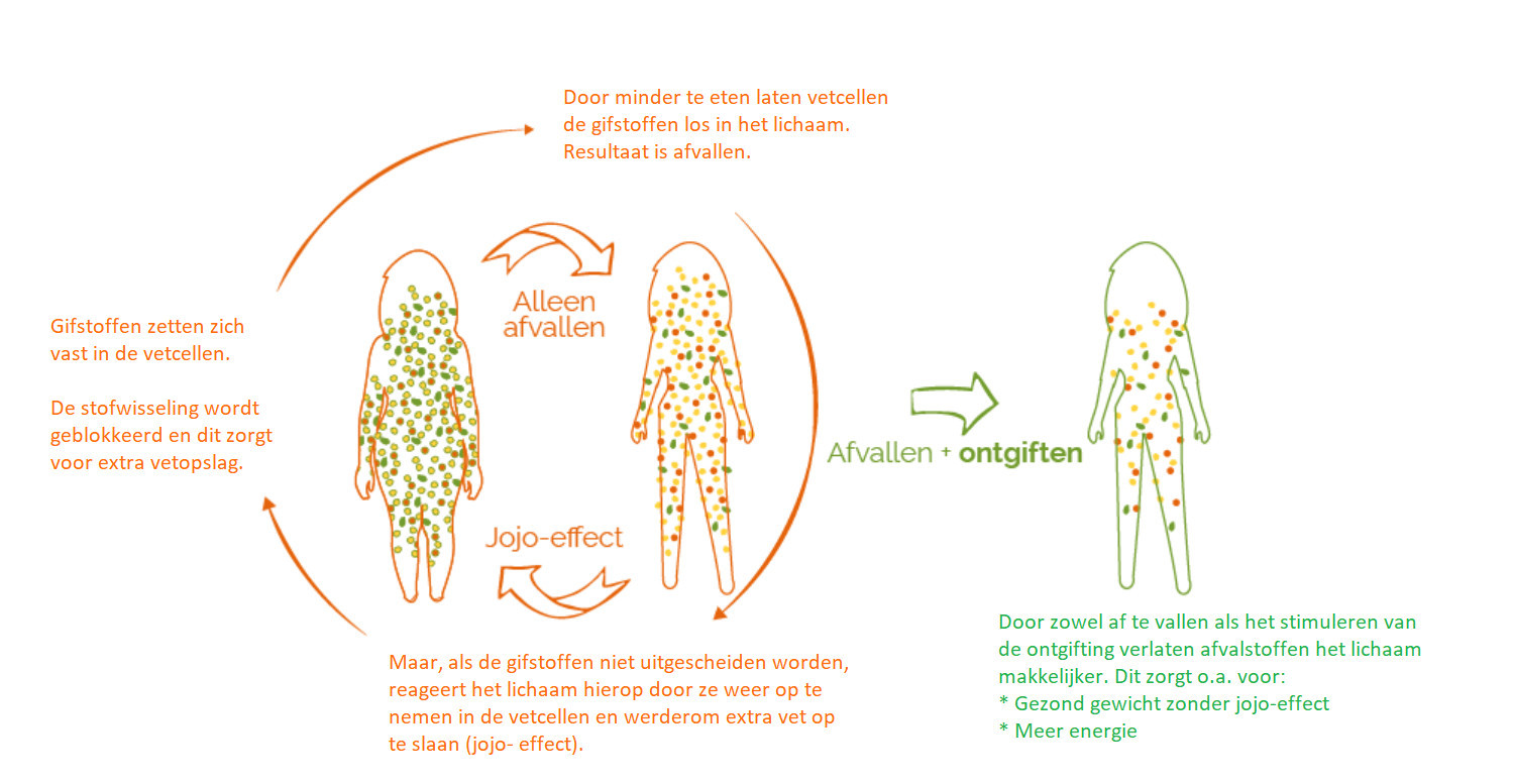 vegan-switch-afvallen-afbeelding.jpg